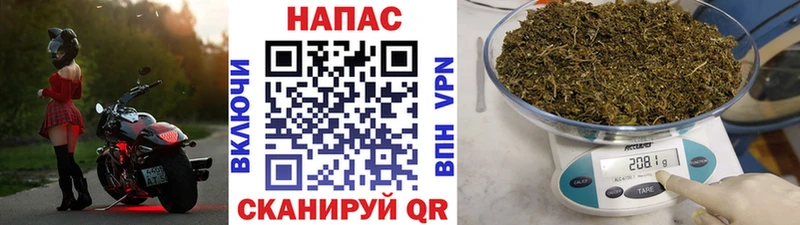 Бошки марихуана сатива  Карабаш 